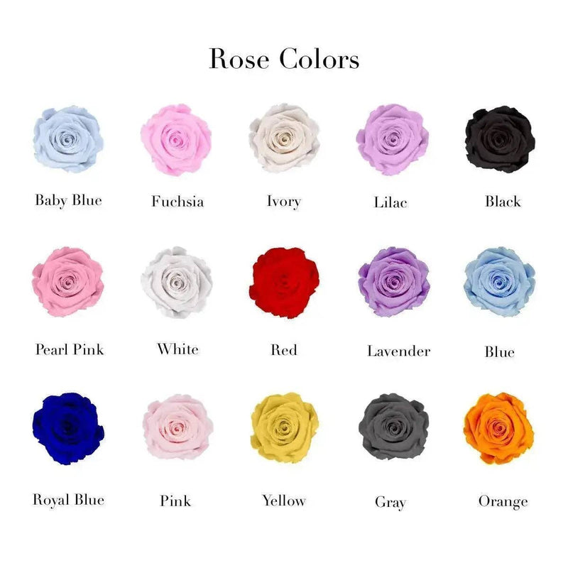 【自营】美国Rose Forever 16朵永生粉玫瑰 永生花 丝绒心形礼盒