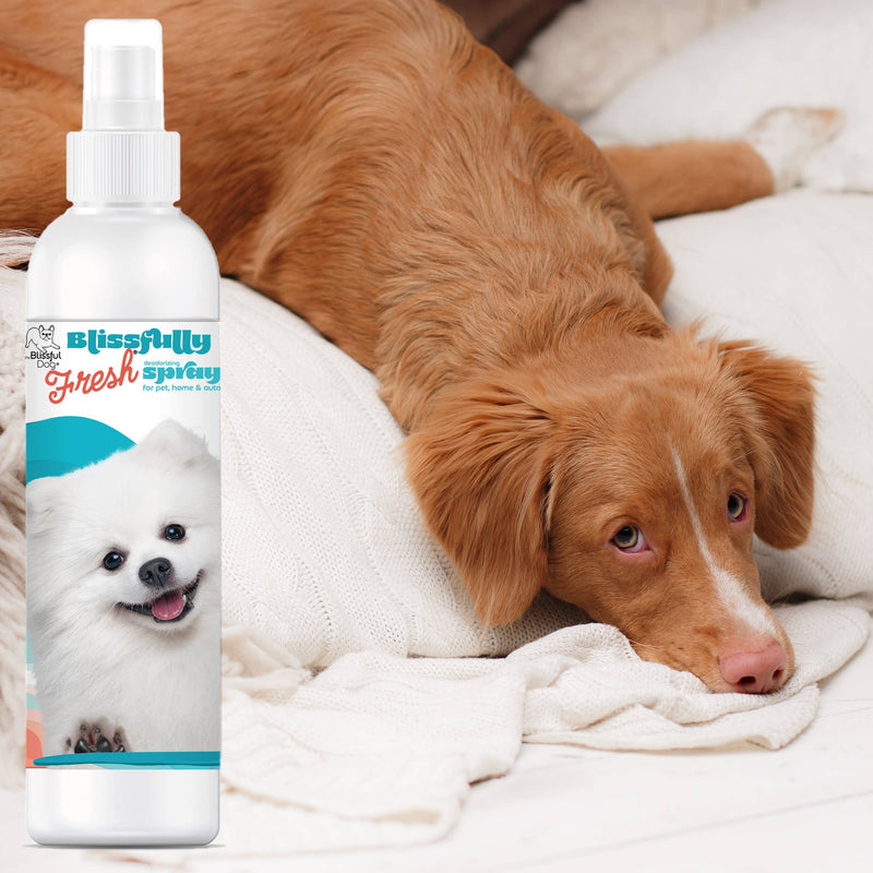 【自营】美国The Blissful Pets 幸福清新 狗狗宠物除味喷雾 4oz 118ml 宠物家居车内均可用