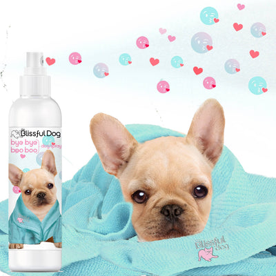 【自营】美国The Blissful Pets 狗狗皮肤舒缓喷雾 4oz 118ml 适用于瘙痒受刺激的皮肤