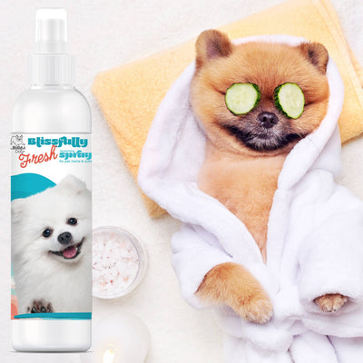 【自营】美国The Blissful Pets 幸福清新 狗狗宠物除味喷雾 4oz 118ml 宠物家居车内均可用