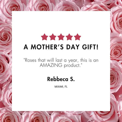 【自营】美国Rose Forever 49朵紫红色永生粉玫瑰 永生花 丝绒礼盒