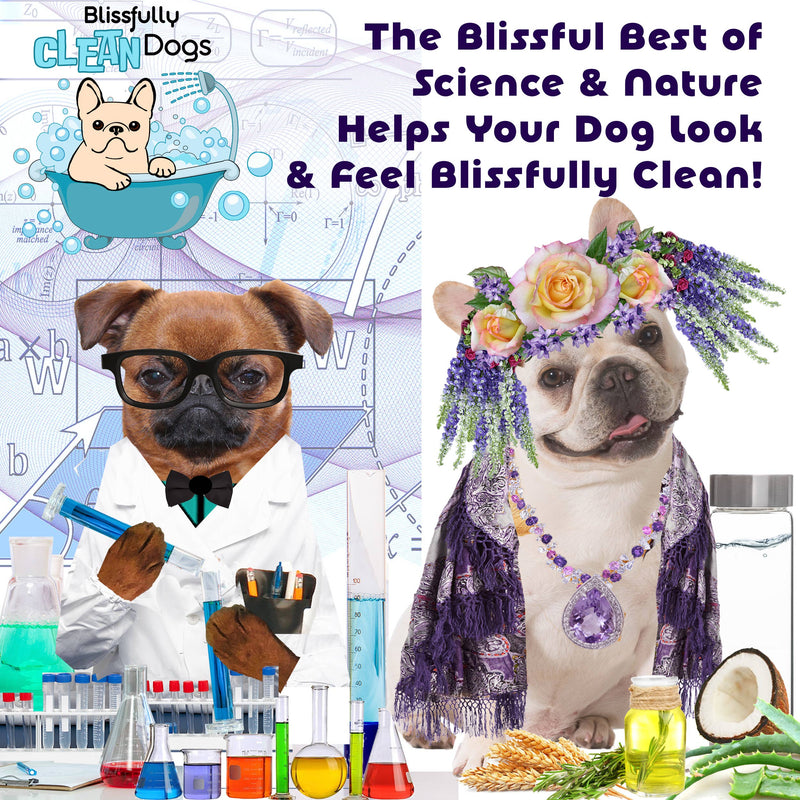 【自营】美国The Blissful Pets 幸福清新 狗狗宠物除味喷雾 4oz 118ml 宠物家居车内均可用