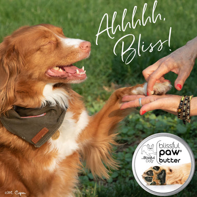 【自营】美国The Blissful Pets 狗狗爪子护理黄油 1oz 28g 圆罐装 滋润粗糙干燥的狗狗爪垫