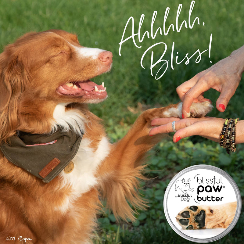【自营】美国The Blissful Pets 狗狗爪子护理黄油 1oz 28g 圆罐装 滋润粗糙干燥的狗狗爪垫