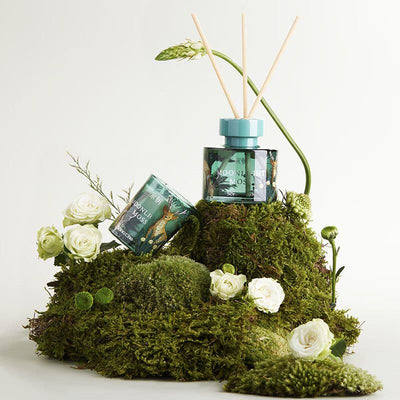 【自营】中国Song Chao宋朝 繁花之境系列无火香薰 月照青苔 花香木质调 120ml 空气清新香膏精油香氛 无火香熏室内扩香空气清新剂香薰香氛棒